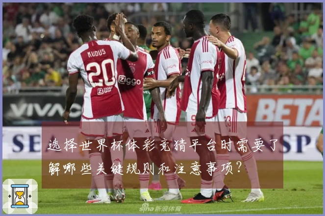 选择世界杯体彩竞猜平台时需要了解哪些关键规则和注意事项?
