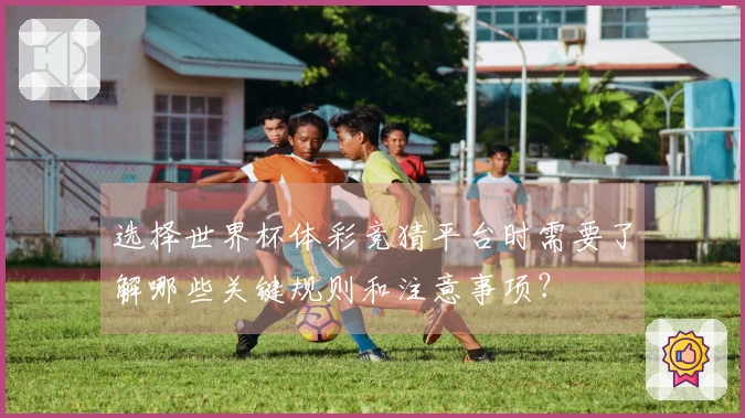 选择世界杯体彩竞猜平台时需要了解哪些关键规则和注意事项？