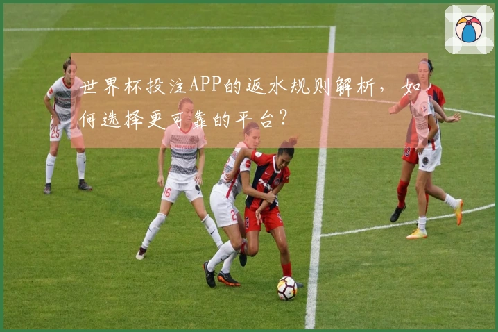 世界杯投注APP的返水规则解析，如何选择更可靠的平台？